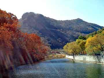 新澳门二四六天天开奖，小鸭圣吉奥抽油烟机